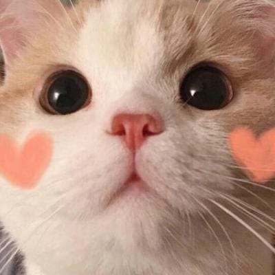 Budi Setiawan avatar