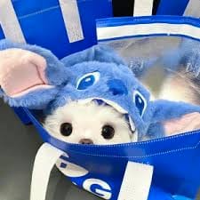 Fajar Nugroho avatar